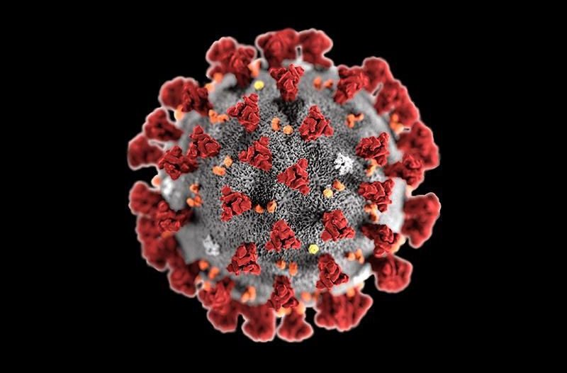 CoachSafely Statement On Global COVID-19 Pandemic