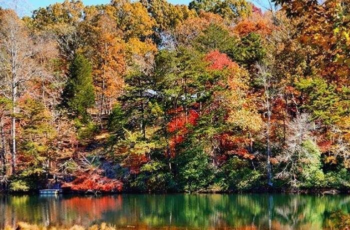 ARPA Shows Us How To Stay Healthy While We Stay Home To Fight COVID-19